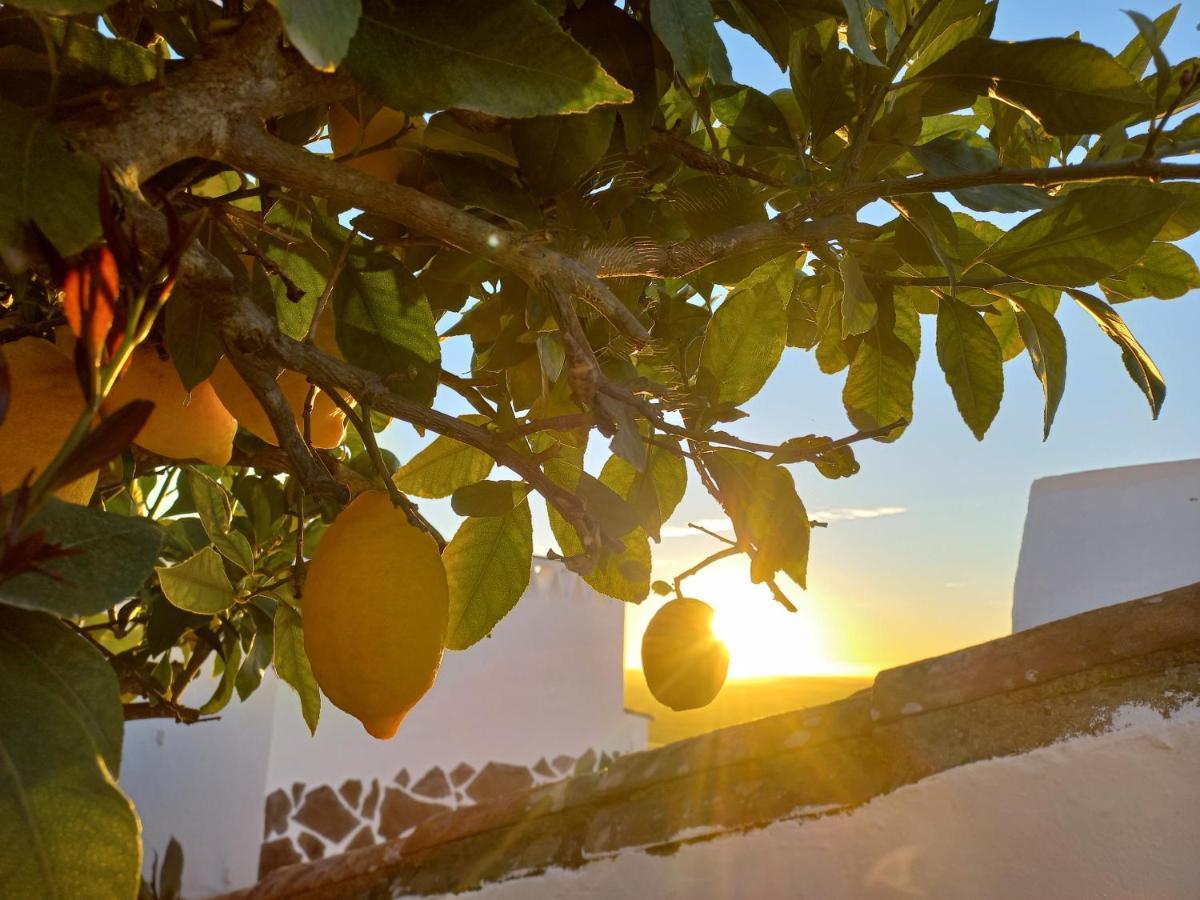 Casa Dona Antonia - Monsaraz Bed & Breakfast Dış mekan fotoğraf