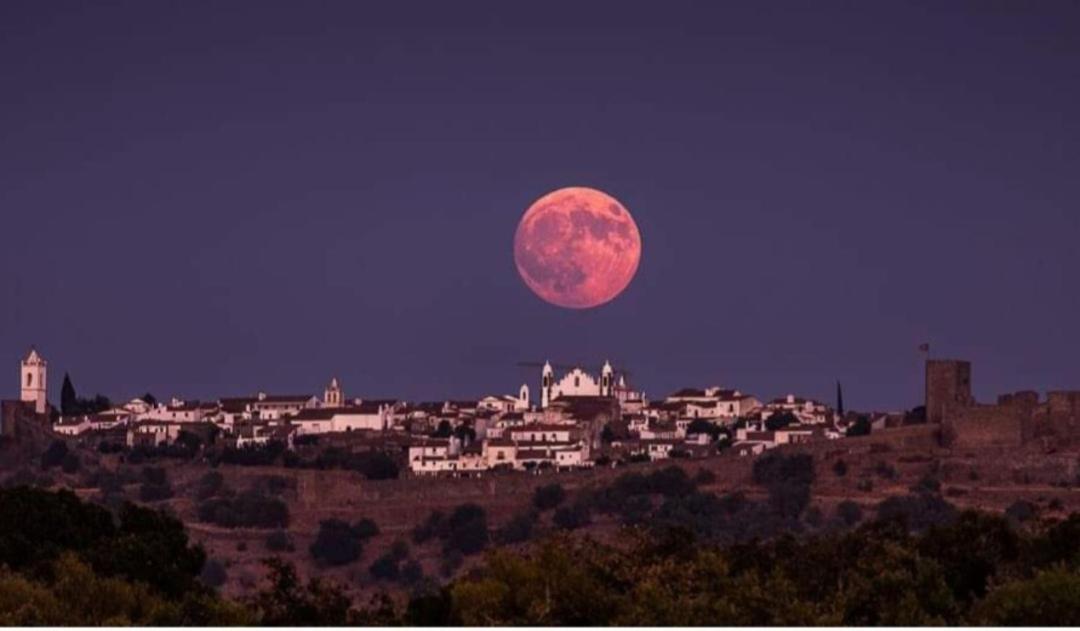 Casa Dona Antonia - Monsaraz Bed & Breakfast Dış mekan fotoğraf